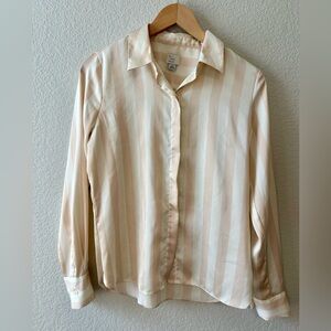 A New Day Long Sleeve Satin Button- Down Shirt with Cream & Tan Stripes